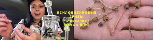 каннабис Абаза