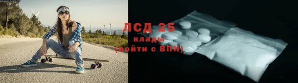 крисы Новозыбков