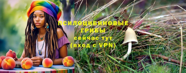 mix Абинск