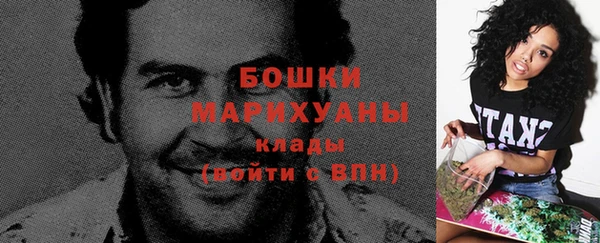 крисы Новозыбков
