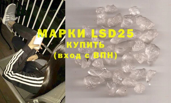 крисы Новозыбков