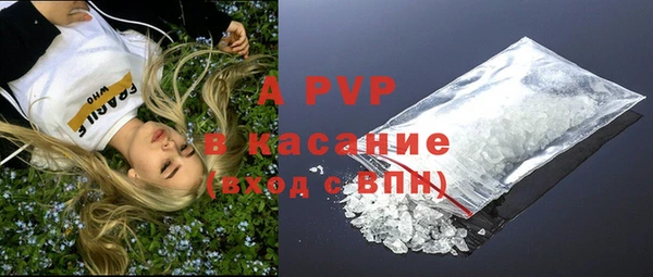 стафф Новокубанск
