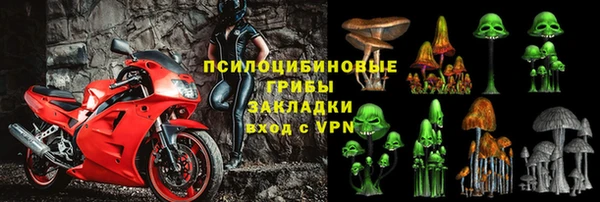 стафф Новокубанск