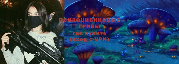 стафф Новокубанск