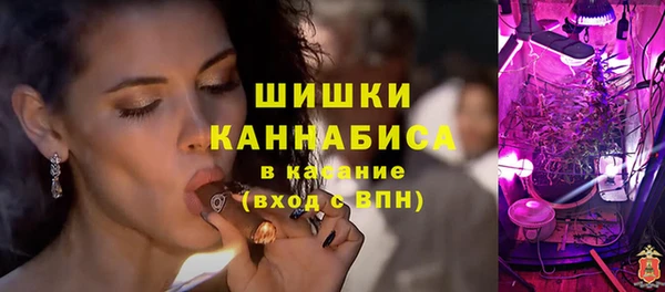 крисы Новозыбков