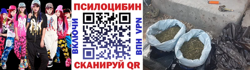 даркнет сайт Александров Псилоцибиновые грибы MAGIC MUSHROOMS