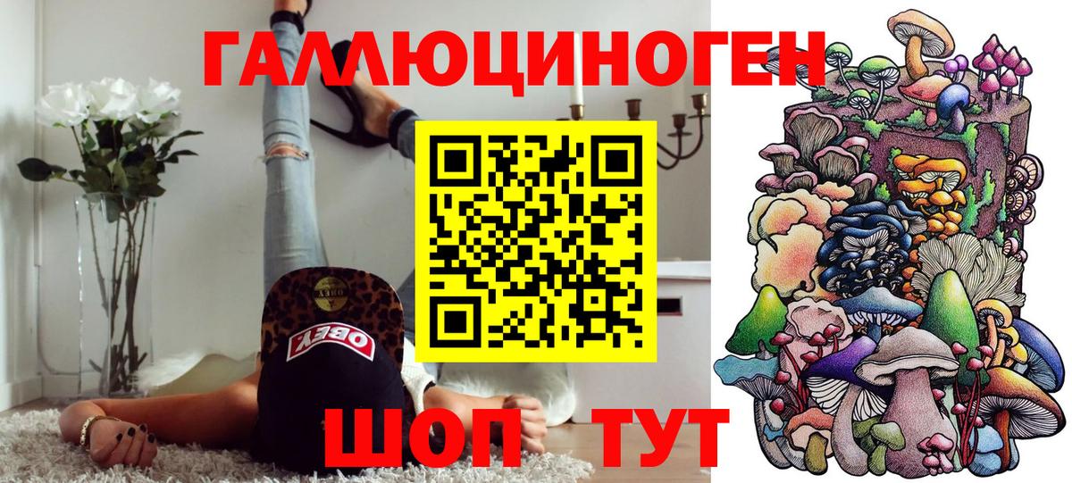 Псилоцибиновые грибы мицелий  Вход с VPN  Александров 