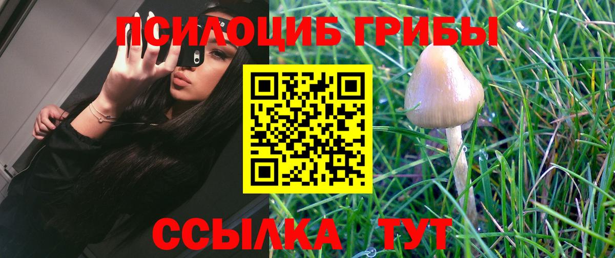 Псилоцибиновые грибы мицелий Александров